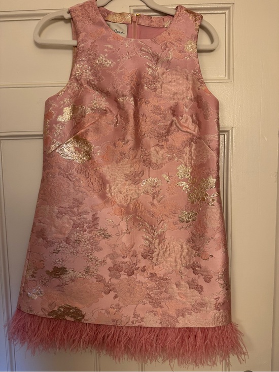 Cara Cara Dresses & Skirts - Cara Cara Pink Floral Brocade Dress with Feather Hem